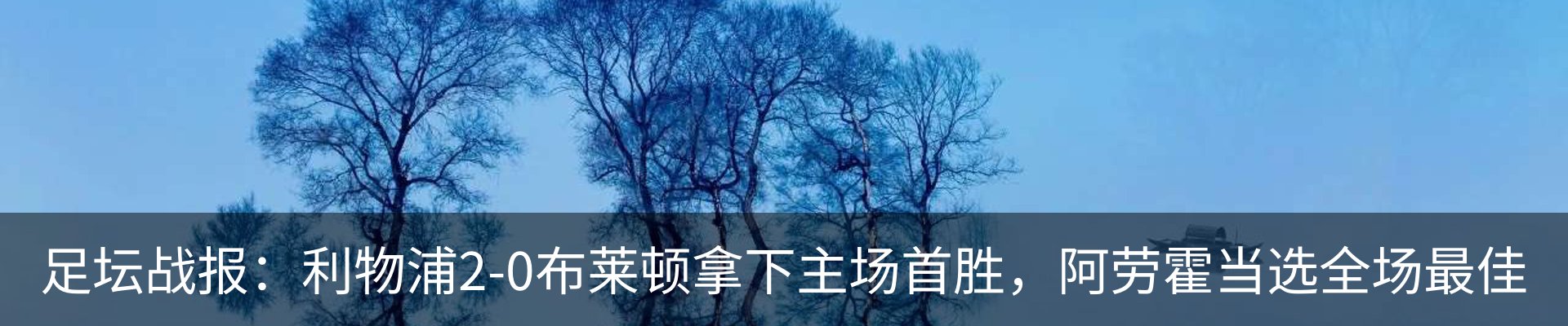 最新动态